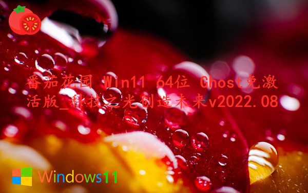 番茄花园 Win11 64位 Ghost免激活版_科技之光创造未来 v2023.09