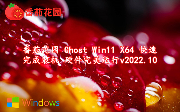 番茄花园 Ghost Win11 X64 快速完成装机 硬件完美运行 v2022.10