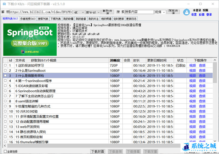 闪豆视频下载器v2.9.2_视频批量下载器(B站抖音TikTok油管)去广告版