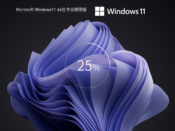 纯净精简 Windows11 22H2 X64 办公游戏增强 专业优化版 v2023.06