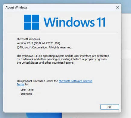 微软发布了最新Windows11 22H2预览版_版本号22621.169