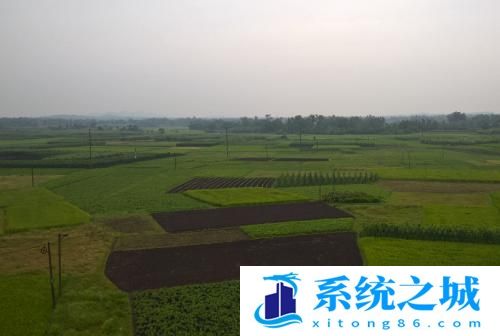 怎样把图片复制在CAD中？